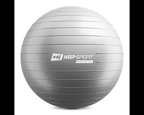 Фітбол Hop-Sport 65 см сріблястий + насос