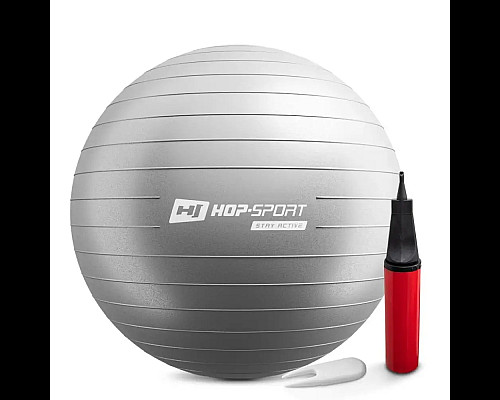 Фітбол Hop-Sport 65 см сріблястий + насос