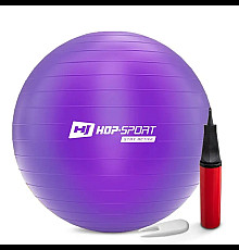 Фітбол Hop-Sport 65 см фіолетовий + насос