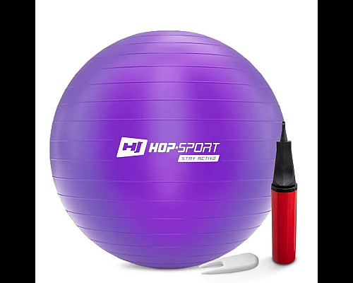 Фітбол Hop-Sport 65 см фіолетовий + насос