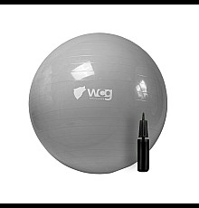 М'яч для фітнесу WCG 75 Anti-Burst 250 кг сірий + насос 