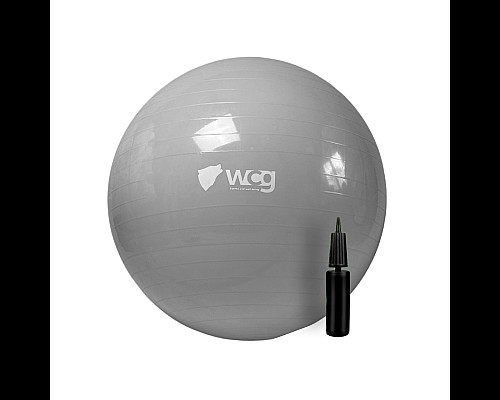 М'яч для фітнесу WCG 75 Anti-Burst 250 кг сірий + насос