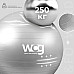М'яч для фітнесу WCG 75 Anti-Burst 250 кг сірий + насос
