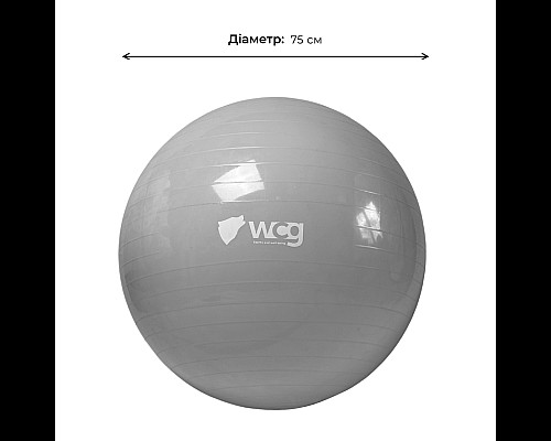 М'яч для фітнесу WCG 75 Anti-Burst 250 кг сірий + насос