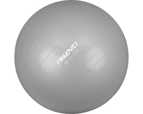Гімнастичний м'яч Avento 55 cm, (433419) - срібний Гімнастичний м'яч Avento 55 cm, (433419) - срібний