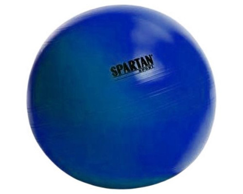 М'яч гімнастичний SPARTAN 55 см Blue