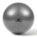 Фітбол Adidas Gymball 55 см, сірий