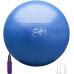М'яч для фітнесу (фітбол) WCG 55 Anti-Burst 300кг Голубий + насос