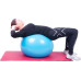 Гімнастичний м'яч inSPORTline Top Ball 45 cm (3908-3) - блакитний