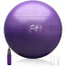 М'яч для фітнесу (фітбол) WCG 65 Anti-Burst 300кг Фіолетовий + насос