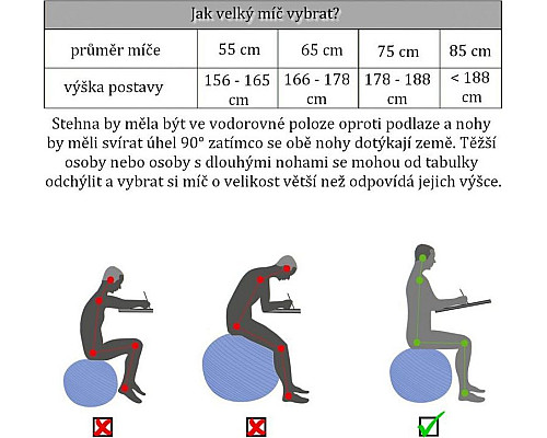 Гімнастичний м'яч з насосом Movit 65 cm - рожевий Гімнастичний м'яч з насосом Movit 65 cm - рожевий
