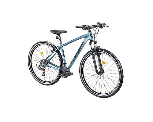 Гірський велосипед DHS Teranna 2923 29' - model 2019/світло-синій