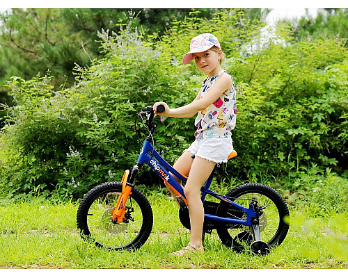 Дитячий велосипед Royalbaby Explorer 16 (CM16-3) червоний
