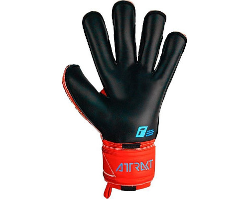 Рукавички воротарські Reusch Attrakt Gold X Evolution M 5370950 3333 р.8, червоні