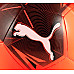 М'яч футбольний Puma Big Cat ball розмір 5, біло-червоний