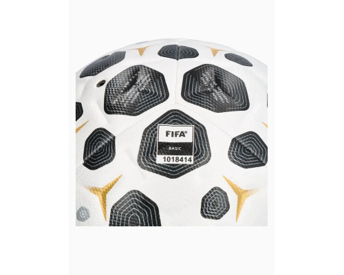 Футбольный мяч Nike Academy Plus розмір 5, біло-чорний
