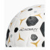 Футбольный мяч Nike Academy Plus розмір 5, біло-чорний