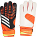 Рукавички воротарські Adidas Predator Training IQ4027 р. 10, різнокольорові