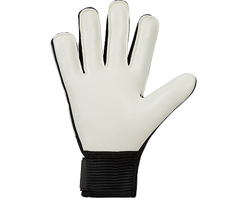 Рукавички воротарські Nike MATCH JUNIOR FJ4864-011 р. 6, чорно-білі
