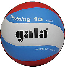 М'яч волейбольний Gala Training 10, розмір 5