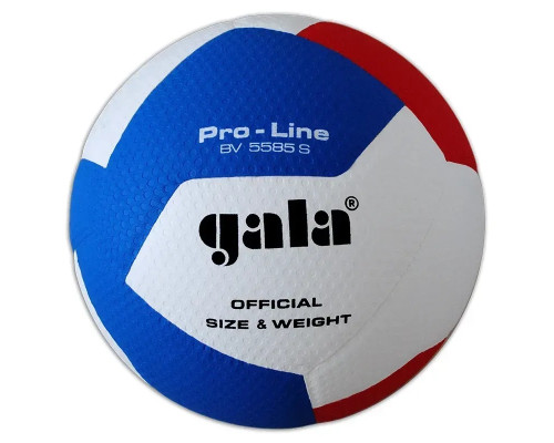 М'яч волейбольний Gala Pro-Line 12, різнокольоровий