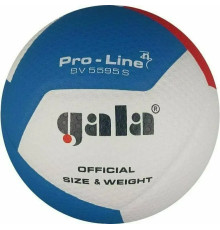 М'яч волейбольний Gala Pro-Line 12 FIVB розмір 5, різнокольоровий
