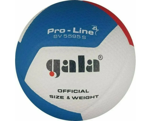М'яч волейбольний Gala Pro-Line 12 FIVB розмір 5, різнокольоровий