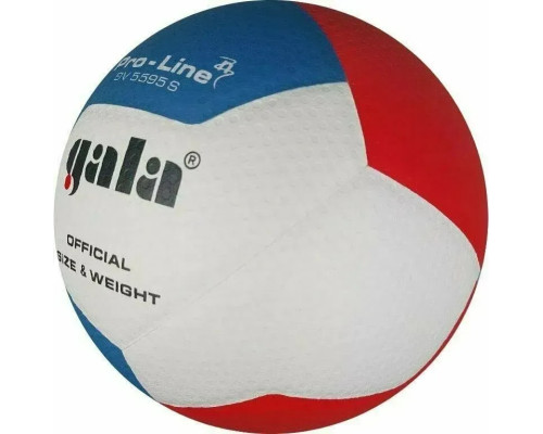 М'яч волейбольний Gala Pro-Line 12 FIVB розмір 5, різнокольоровий