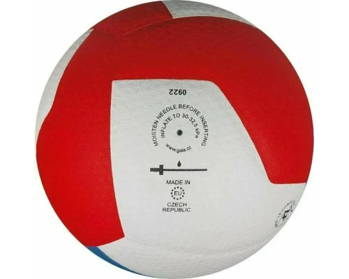 М'яч волейбольний Gala Pro-Line 12 FIVB розмір 5, різнокольоровий