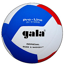 М'яч волейбольний Gala Pro-Line, розмір 5