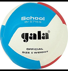 М'яч волейбольний Gala School 12 BV5715S, розмір 5