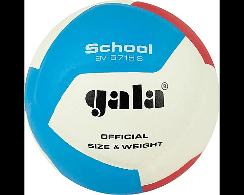 М'яч волейбольний Gala School 12 BV5715S, розмір 5