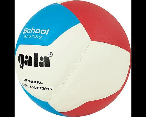 М'яч волейбольний Gala School 12 BV5715S, розмір 5