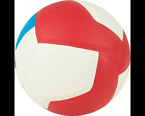 М'яч волейбольний Gala School 12 BV5715S, розмір 5