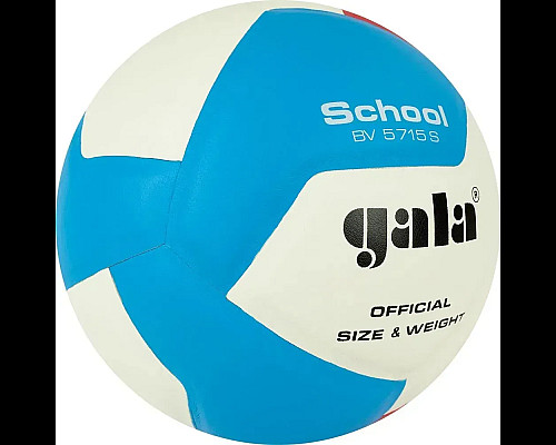М'яч волейбольний Gala School 12 BV5715S, розмір 5