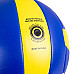 М'яч волейбольний inSPORTline Winifer, розмір 5
