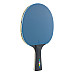 Набір для настільного тенісу Joola Colorato 2 Bats 8 Balls (54814)