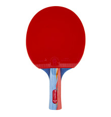 Ракетка для настільного тенісу inSPORTline Shootfair S5