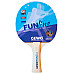 Набір для настільного тенісу Gewo Double-Fun 2 Bats 3 Balls (96960000)