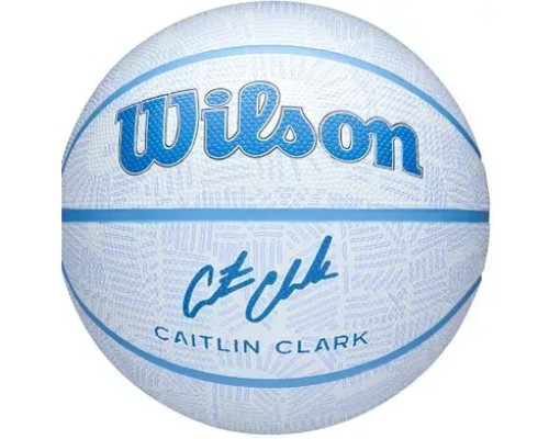 М'яч баскетбольний Wilson CC ENVISION BSKT розмір 6, біло-голубий