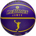 М'яч баскетбольний Wilson NBA PLAYER ICON OUTDOOR BSKT LEBRON NE розмір 7