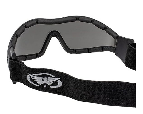 Окуляри лижні з ущільнювачем Global Vision Z-33 Anti-Fog, чорні