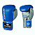 Рукавички боксерські REVENGE EV-10-1038 10 унцій, синьо-сірі