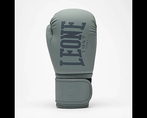 Рукавички боксерські Leone GN058 TONE X розмір 10 унцій, сірі