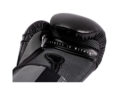 Рукавичики боксерські EVERLAST Elite розмір 14 унцій, чорні