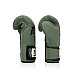 Рукавички боксерські з бинтами Fairtex BGV11 14 унцій, зелені