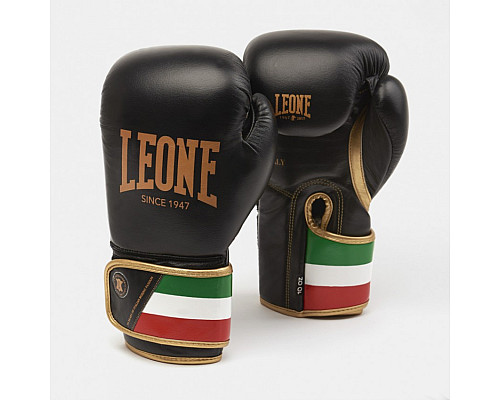 Рукавички боксерські Leone Italy 10 унцій, різнокольорові