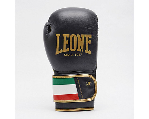 Рукавички боксерські Leone Italy 10 унцій, різнокольорові