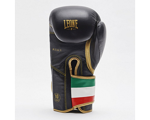 Рукавички боксерські Leone Italy 10 унцій, різнокольорові
