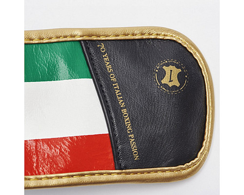 Рукавички боксерські Leone Italy 10 унцій, різнокольорові
